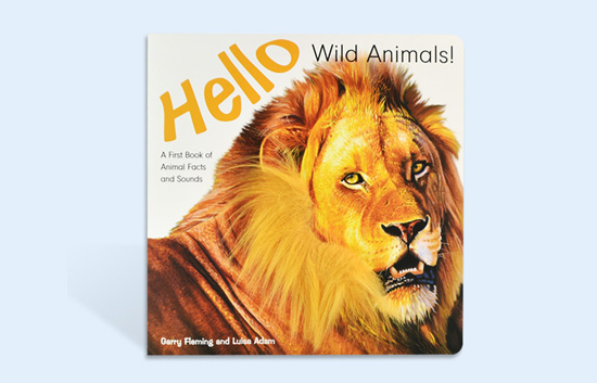 Board book