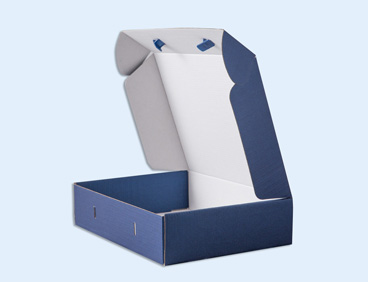 Transport box